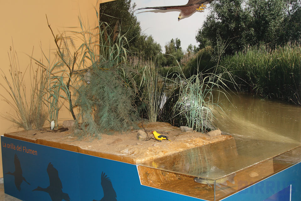Maqueta naturaleza